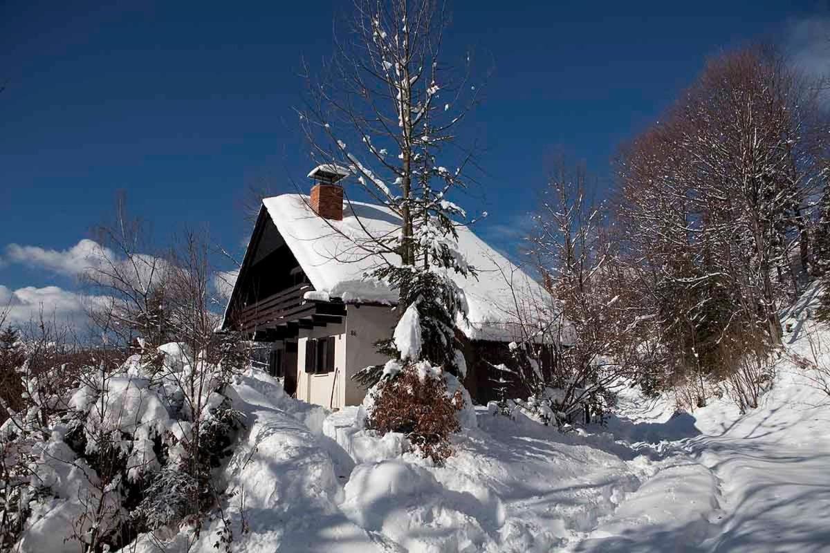 فيلا Pet & Family Friendly House Viktorija - House Near Golica With Triglav View جيسينيس المظهر الخارجي الصورة