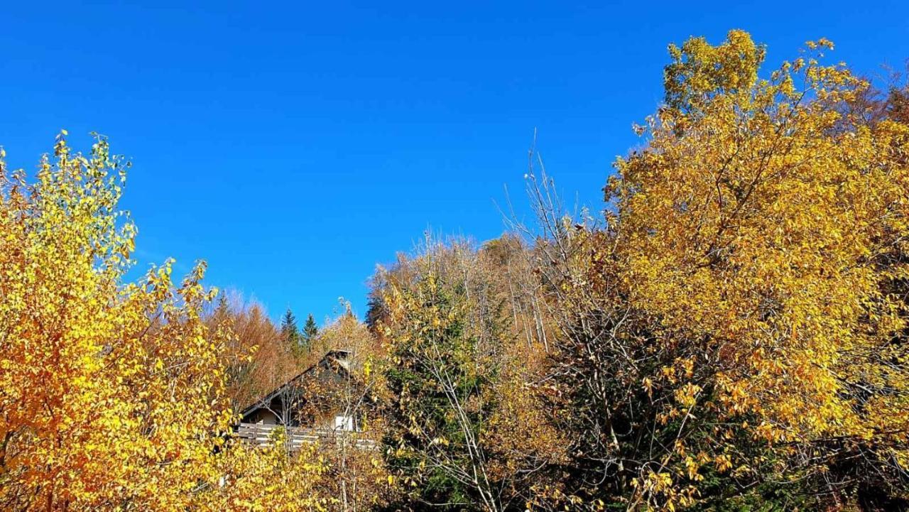 فيلا Pet & Family Friendly House Viktorija - House Near Golica With Triglav View جيسينيس المظهر الخارجي الصورة