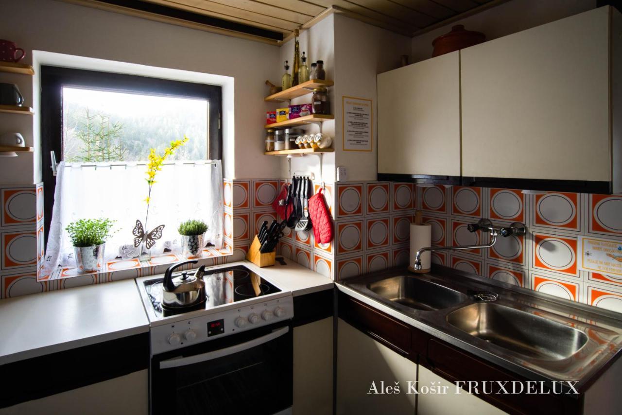 فيلا Pet & Family Friendly House Viktorija - House Near Golica With Triglav View جيسينيس المظهر الخارجي الصورة